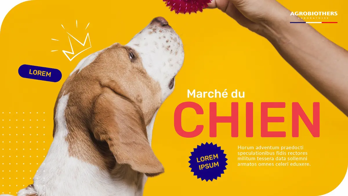 Agence PowerPoint