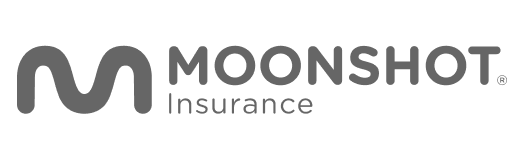 moonshot