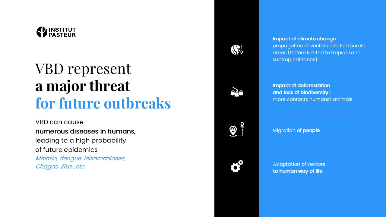 Exemple de diapositive réalisée par l'agence PowerPoint Histoires de Slides pour l'Institut Pasteur