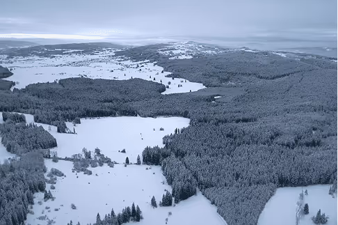 Au fil des saisons