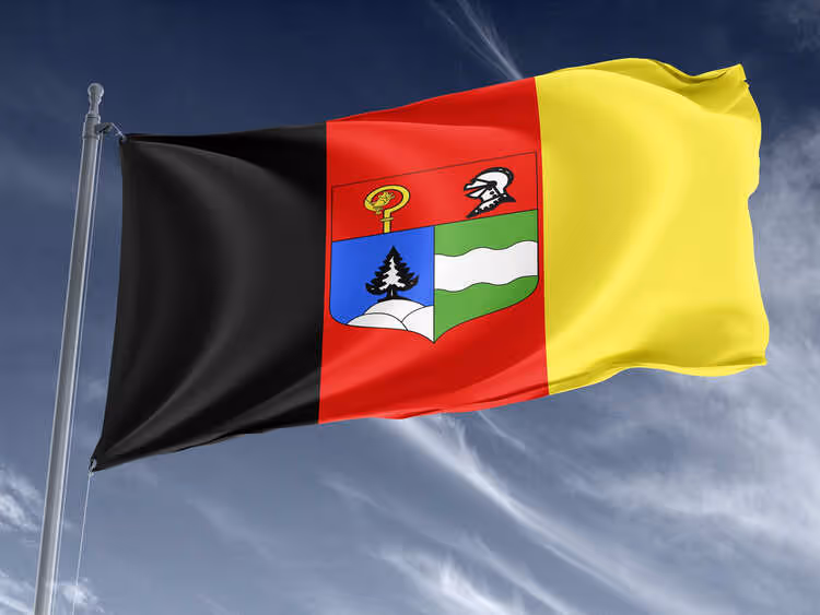 Drapeau du Saugeais