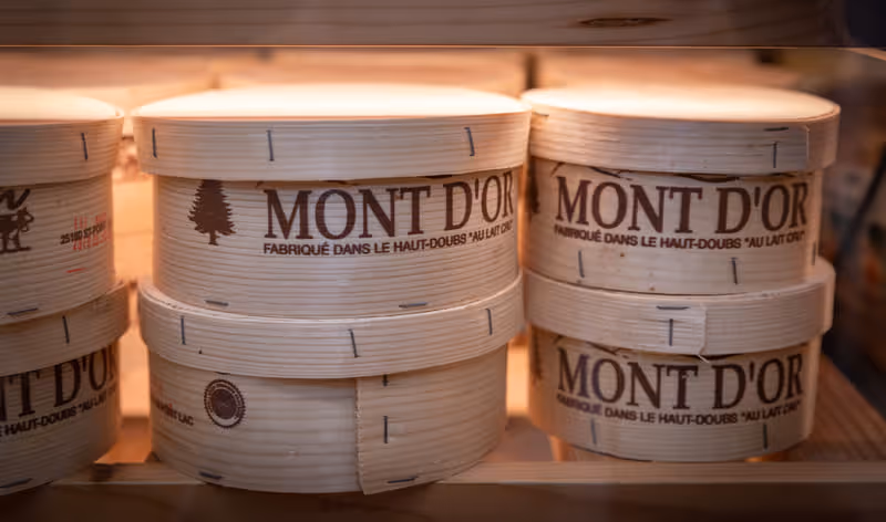 Sangle d’épicéa utilisée pour entourer le Mont d’Or