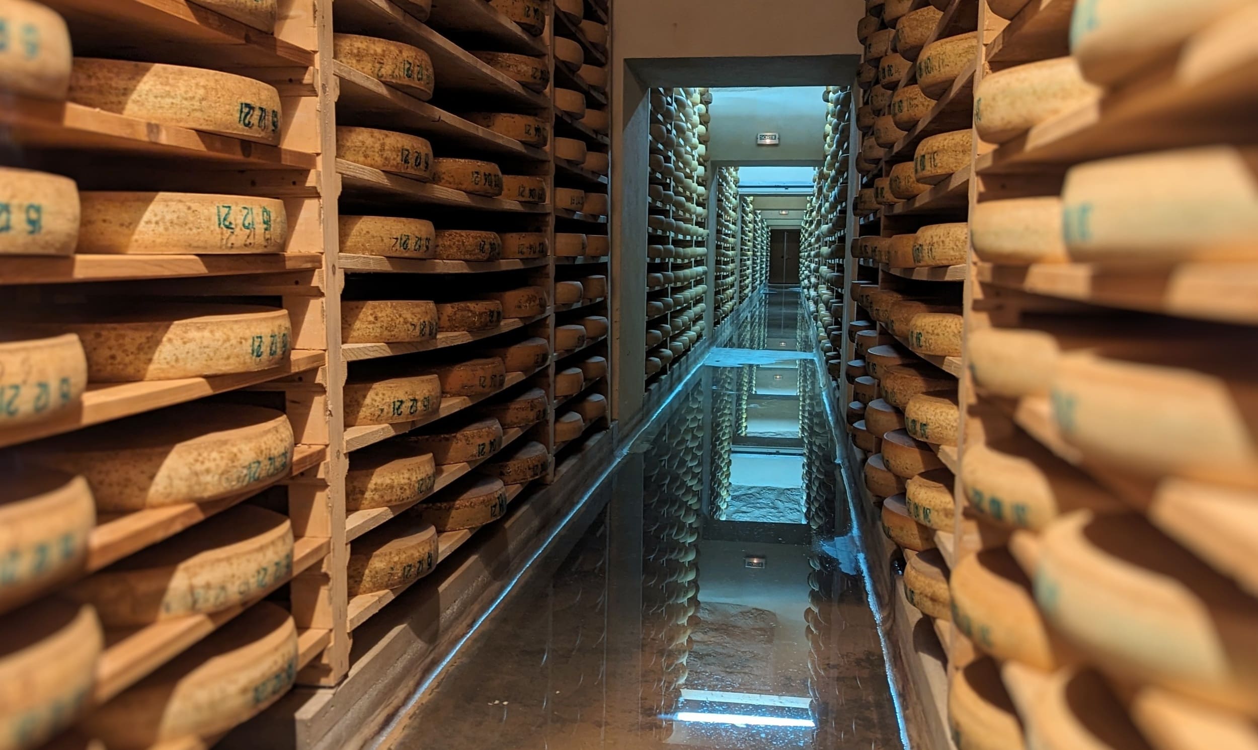 Comté 12, 18, 24, 36 mois : différences