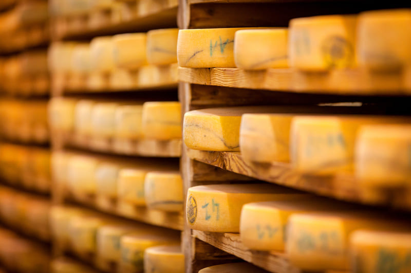 Meules de comté en cours d’affinage dans les caves de la Fromagerie de Gilley