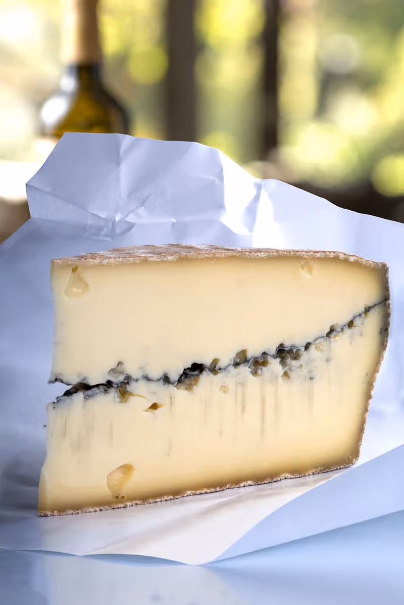 Fromager appliquant la couche de charbon végétal sur une meule de Morbier