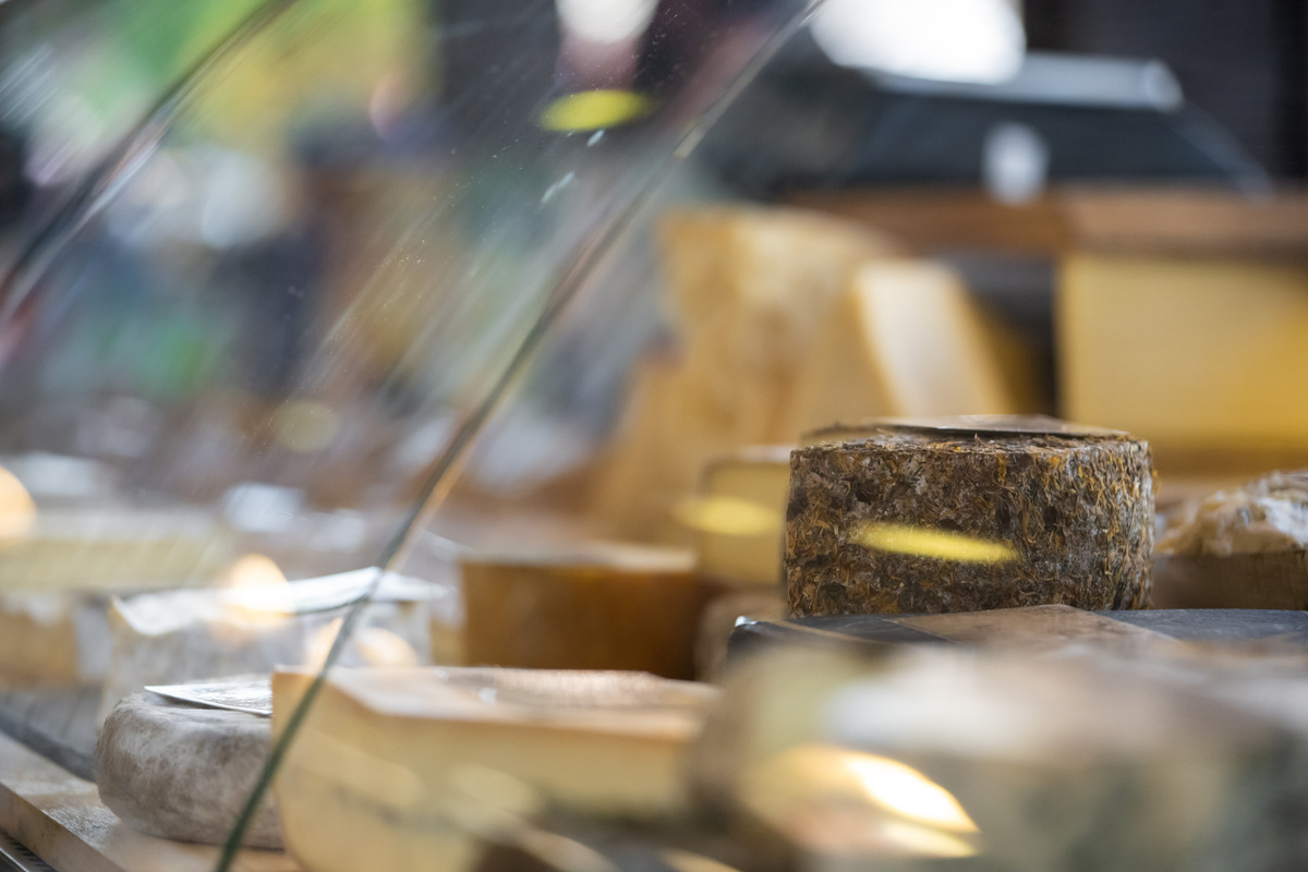 sélection de fromages dans une fromagerie artisanale