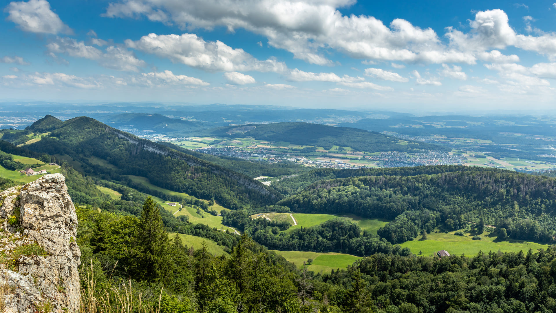 Fromages du Haut-Doubs : pourquoi leur goût est unique en fromagerie