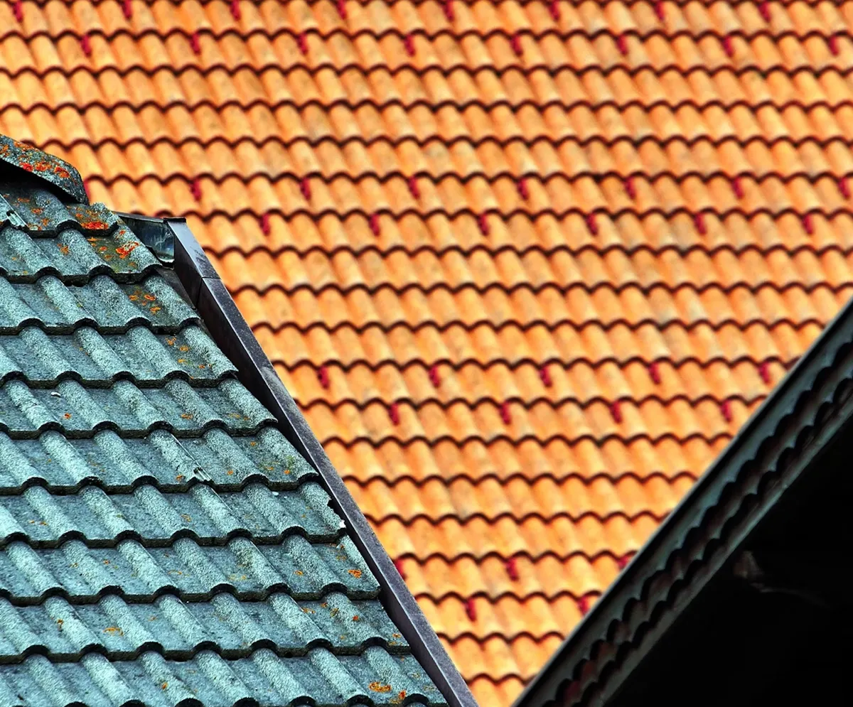 Roof image 
