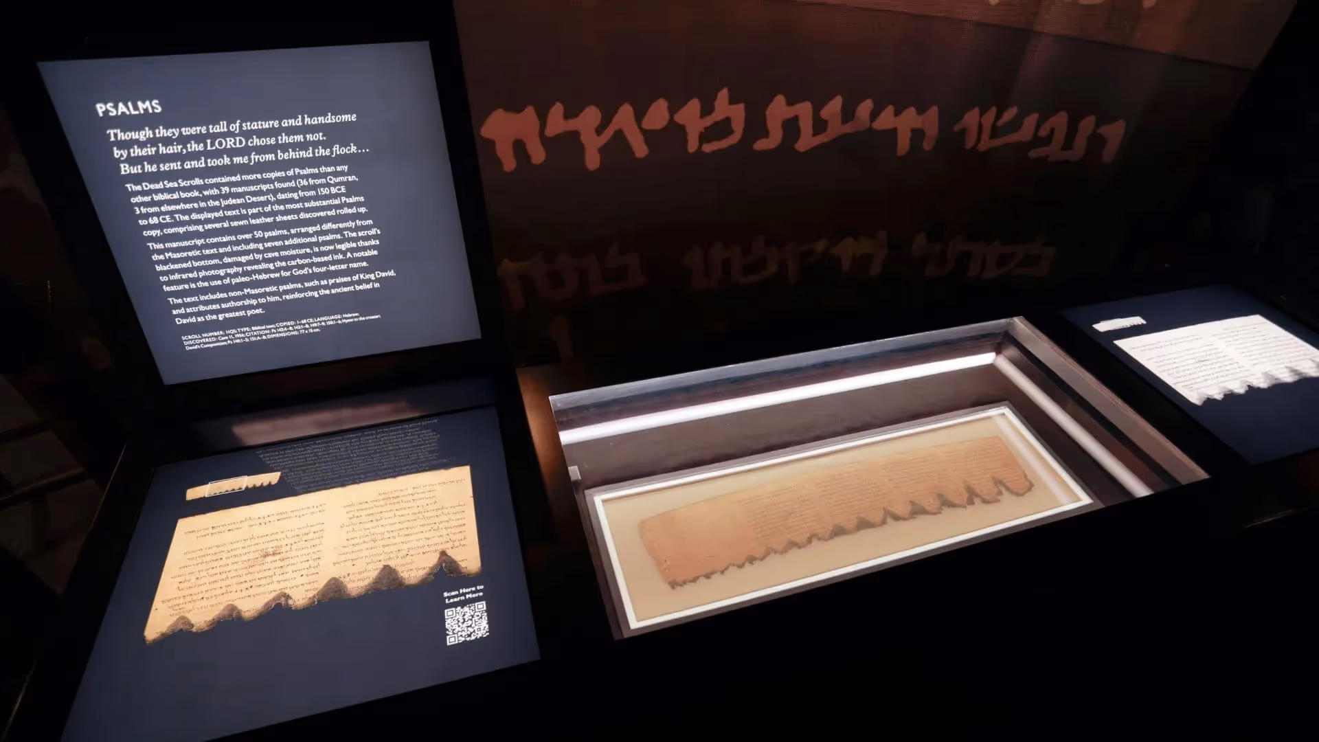 Dead Sea Scrolls 5