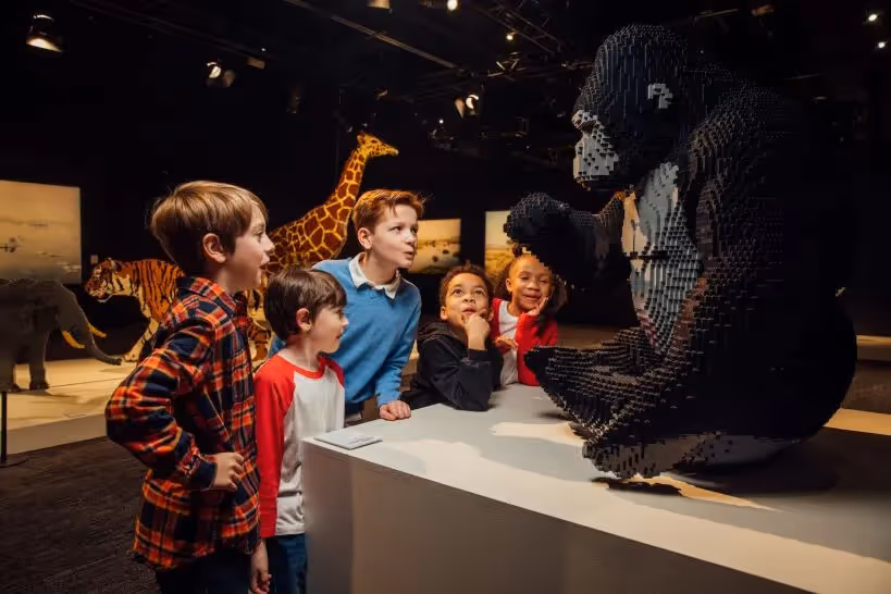 Art of the Brick 1