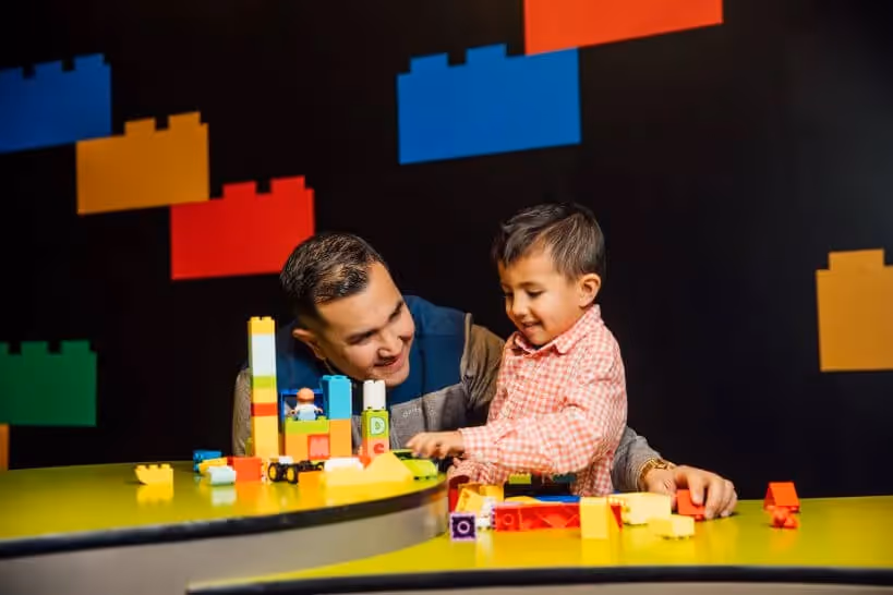 Art of the Brick 10