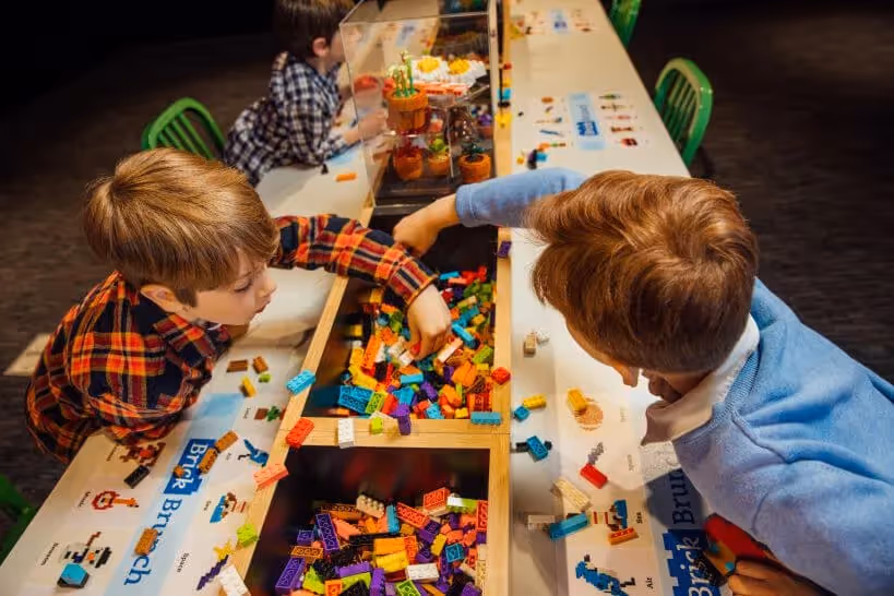 Art of the Brick 8