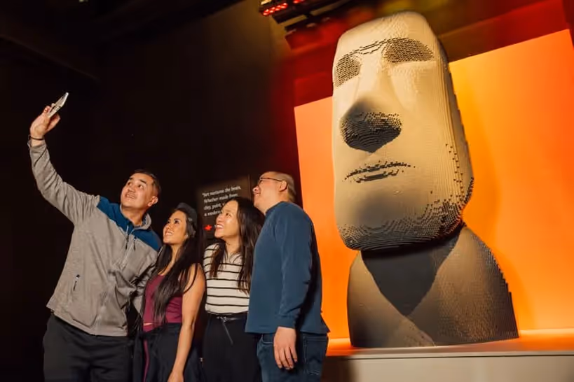 Art of the Brick 6