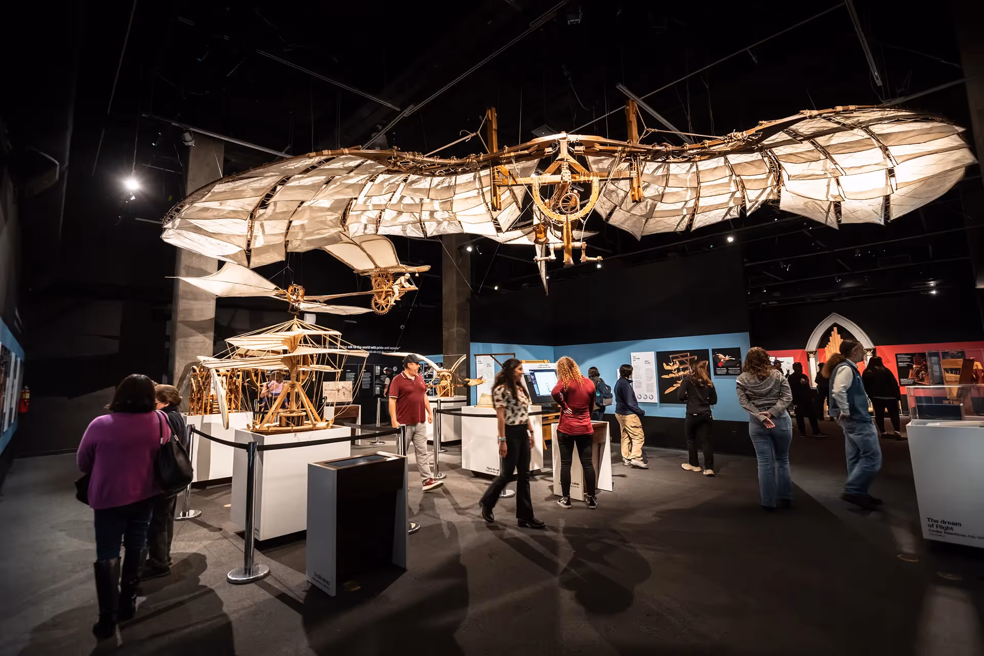 Leonardo Da Vinci 5