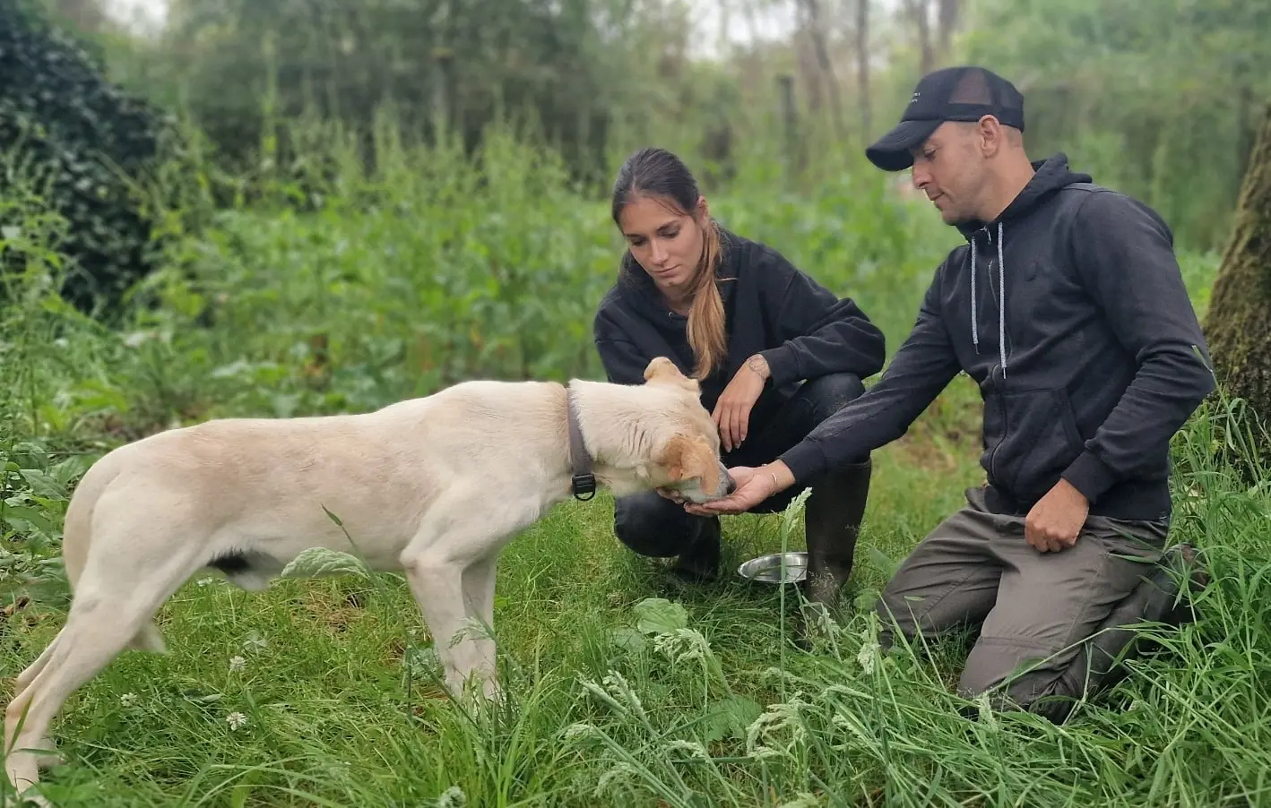 Deux éducateurs canins en séance d’éducation canine à Bordeaux avec un éducateur Just Animal – travail comportemental et relationnel entre le chien et son maître