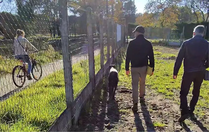 Photo d’un cours d’éducation de chien sur le terrain à Pessac de Just Animal : éducateur canin et comportementaliste canin