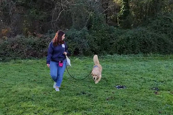 Photo d’un cours d’éducation de chien sur le terrain à Pessac de Just Animal  : éducateur canin et comportementalistes canins 