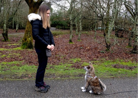 Photo d'un comportementaliste canin à Bordeaux, merignac et le bouscat en pleine séance