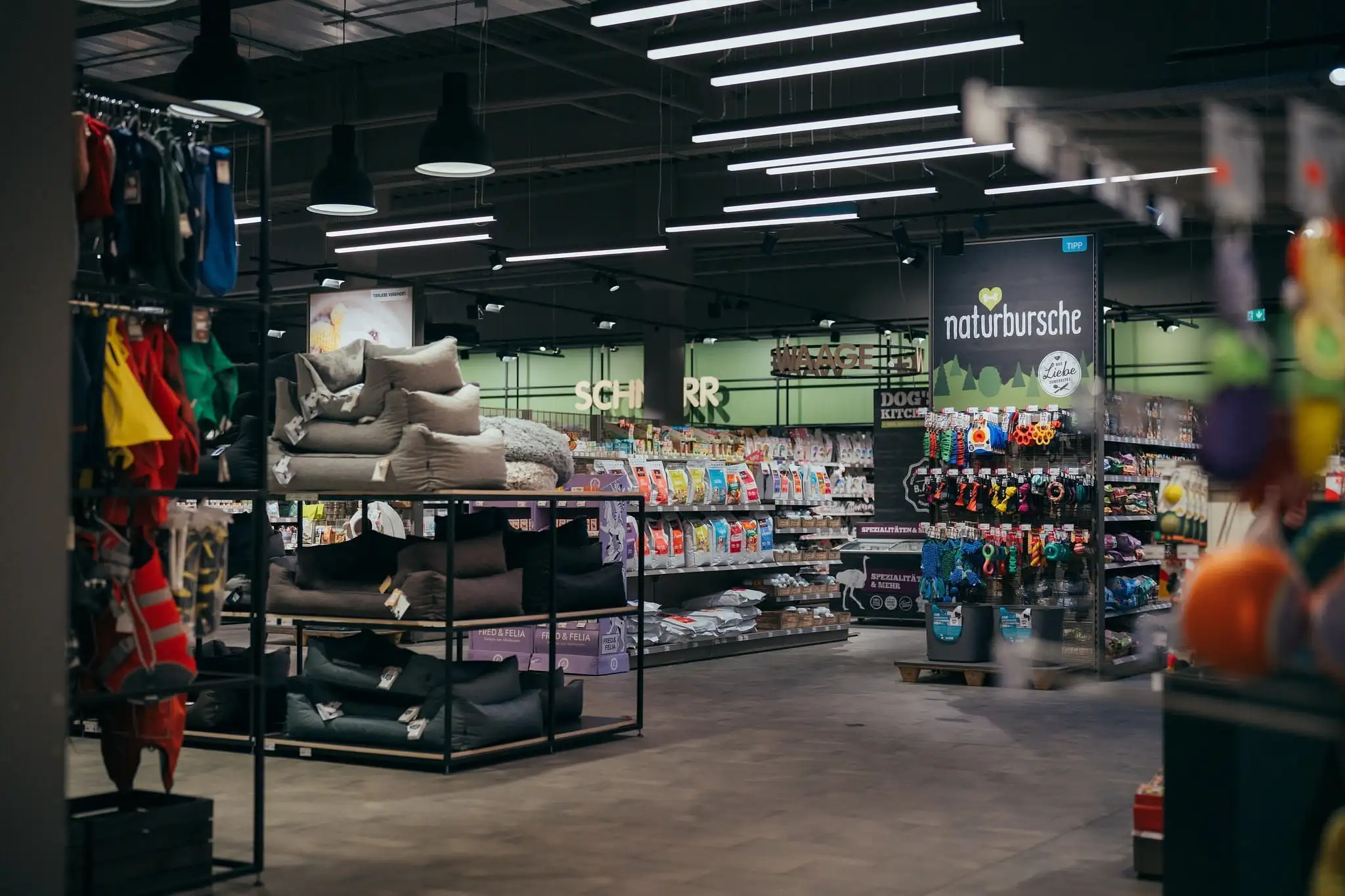 Interior of a pet store with shelves of pet beds, toys, and food products under overhead lights.
