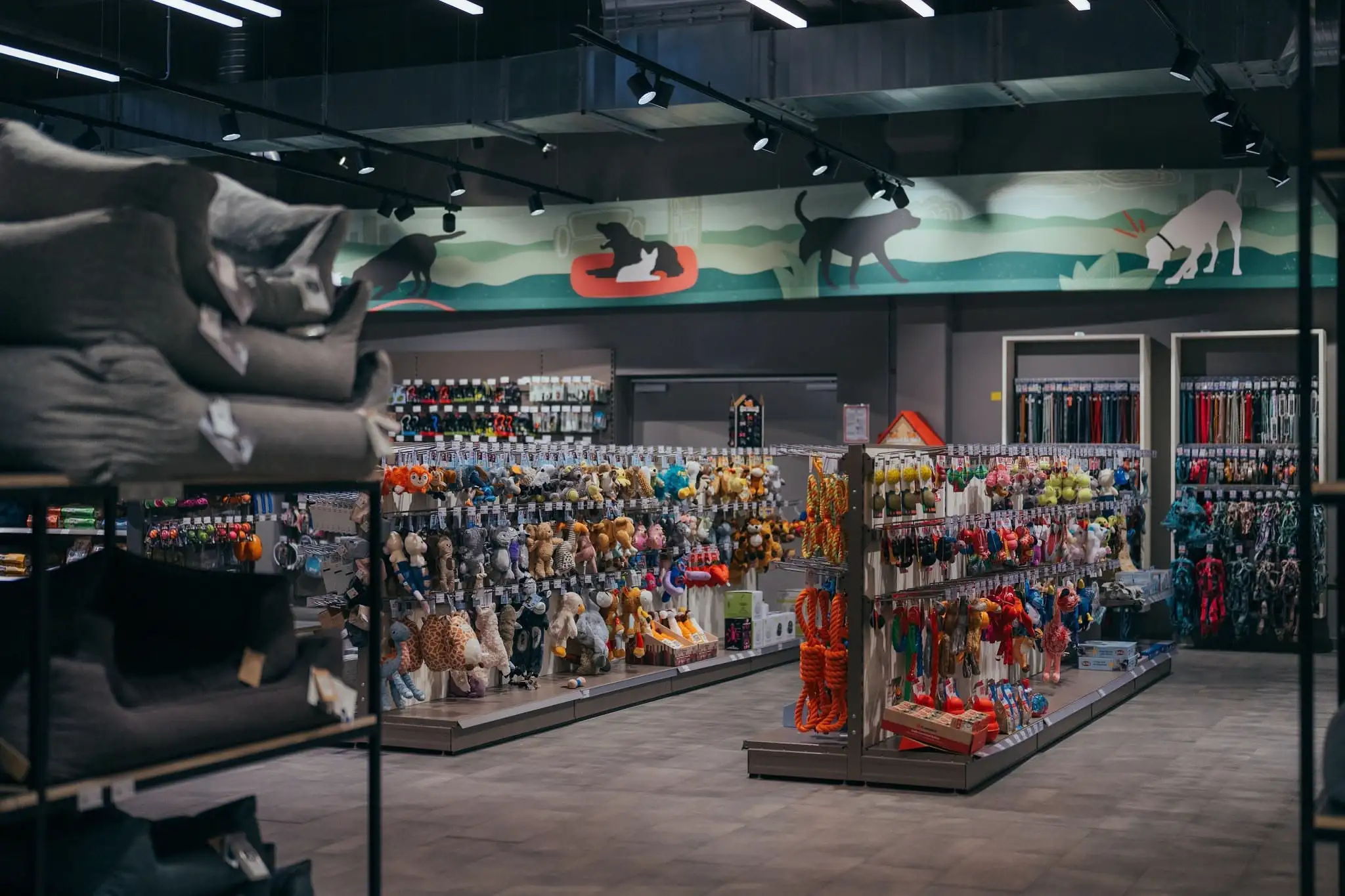 Interior of a pet store with shelves displaying various dog toys, accessories, and beds under ceiling lights and wall art of dogs.