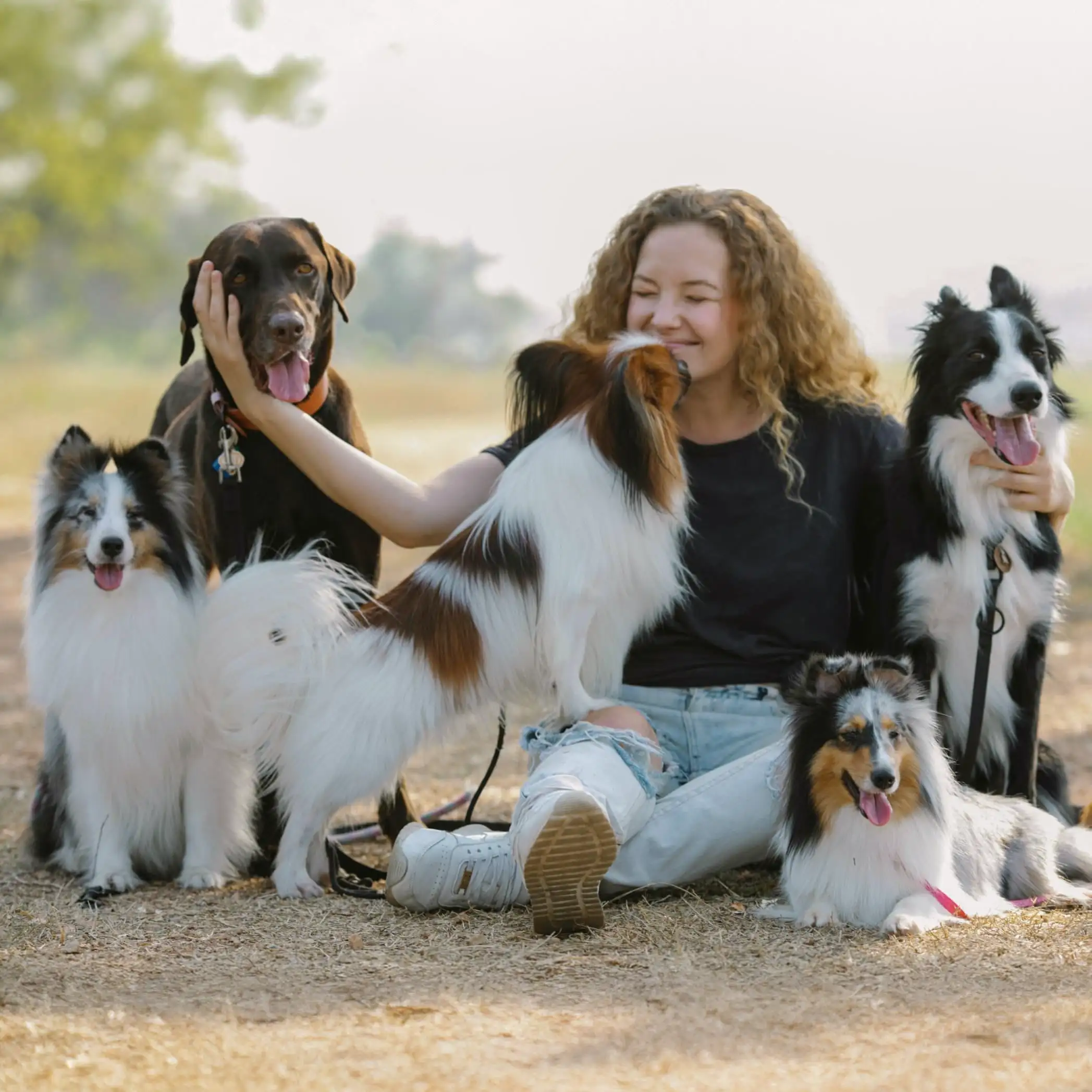 Woman sitting outdoors with five dogs of various breeds, smiling and petting them on a dirt path.