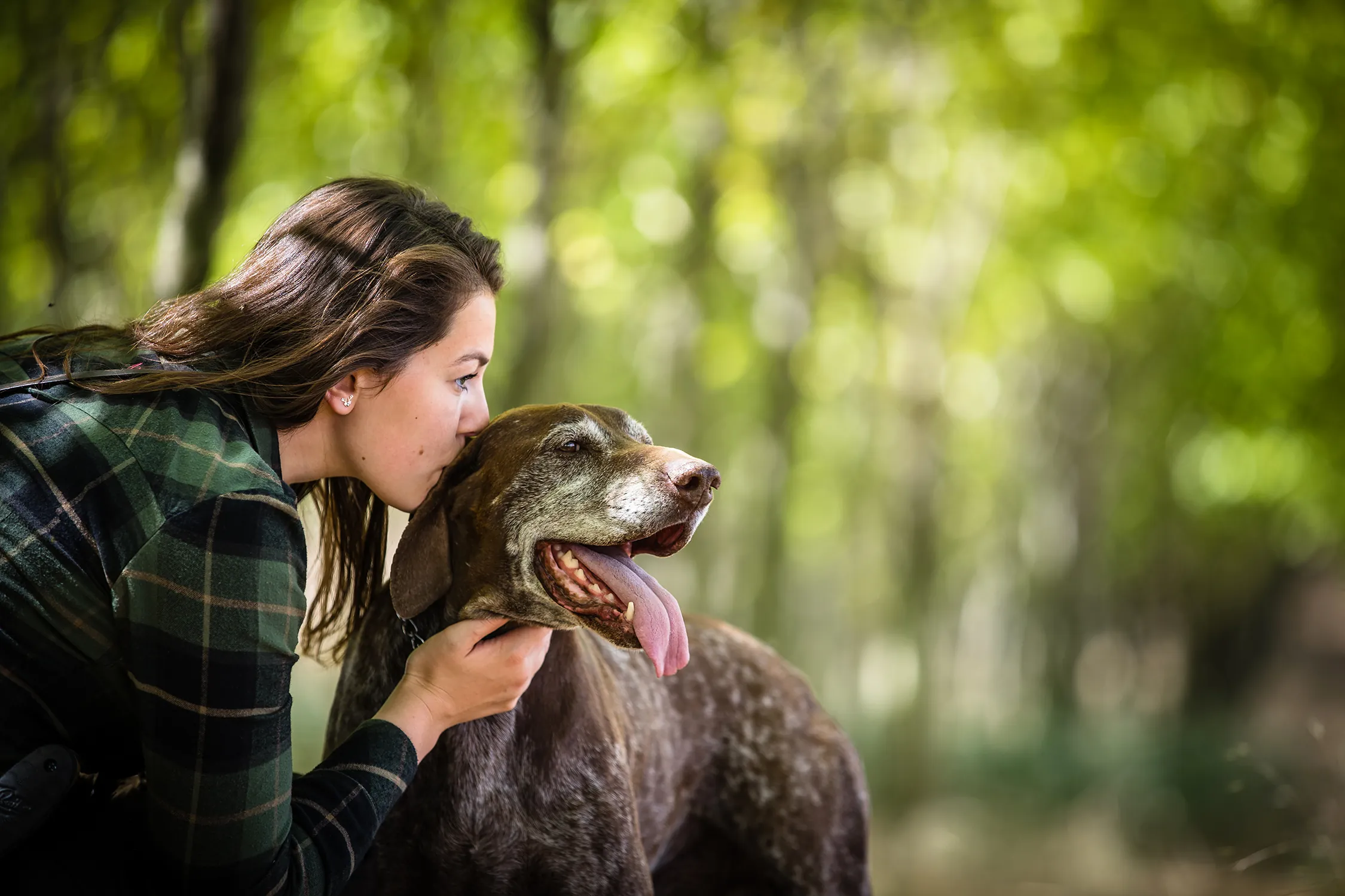 Woman in a green plaid shirt affectionately kissing a happy brown dog outdoors in a sunlit forest.