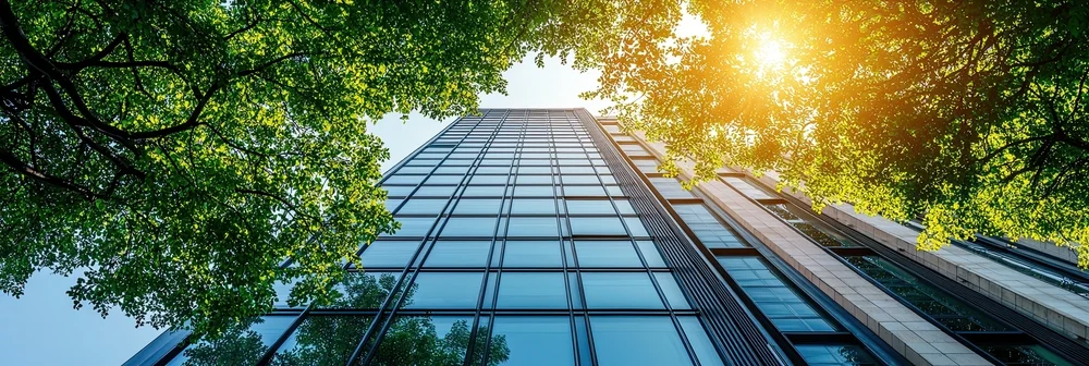 The Future of ESG and DEI