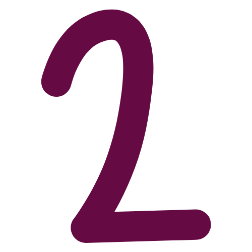 ICONE 2