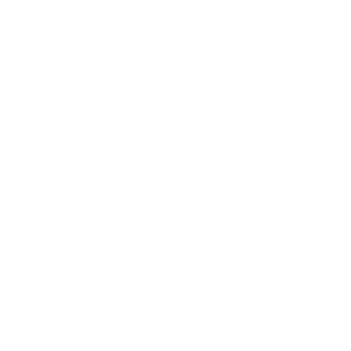 icone loupe