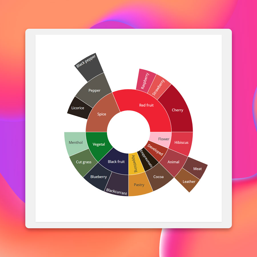 Aromatic wheel featured in the Tastee report, visually summarizing the main aromatic families identified in the tasting comments.