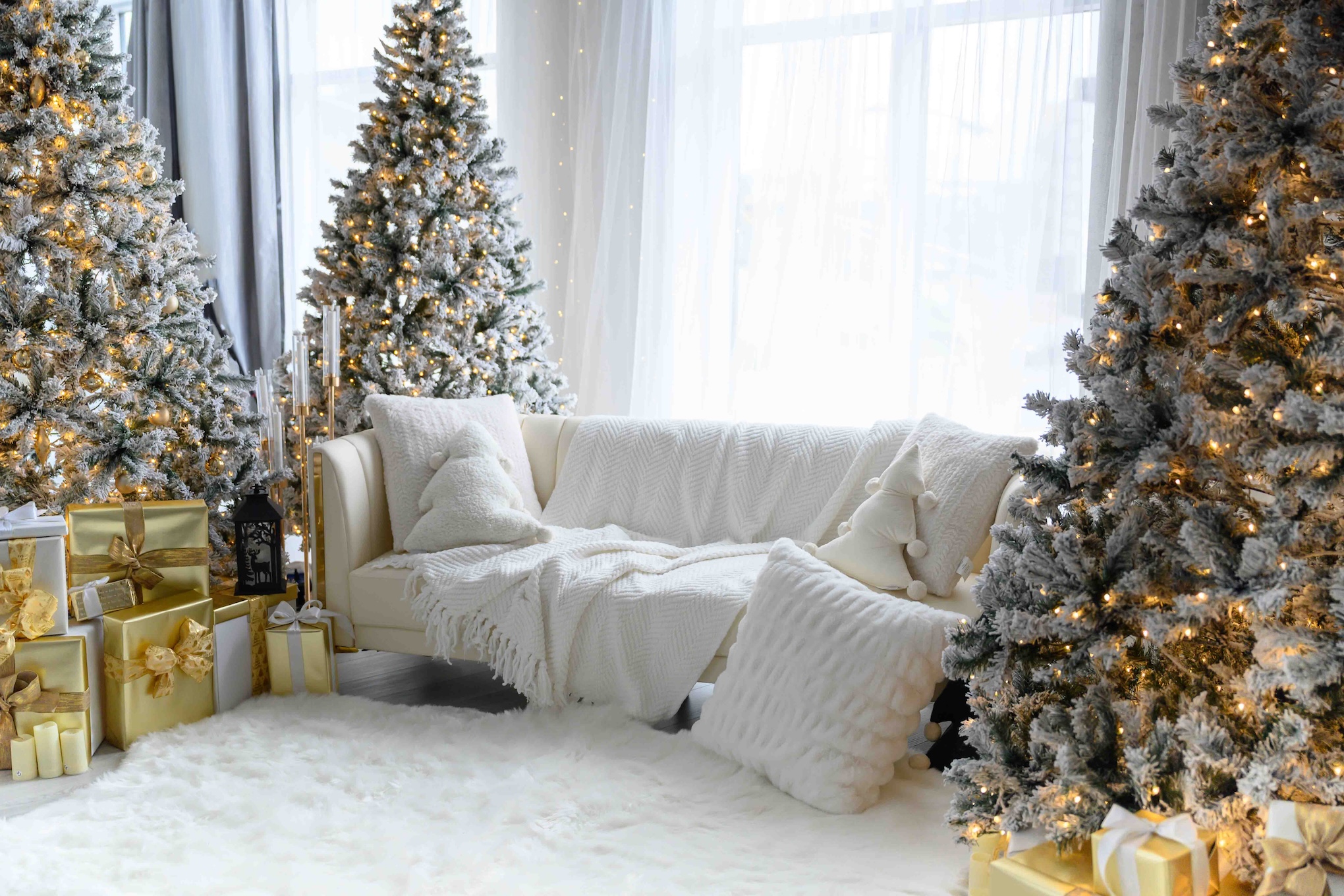 photography studio Dieppe