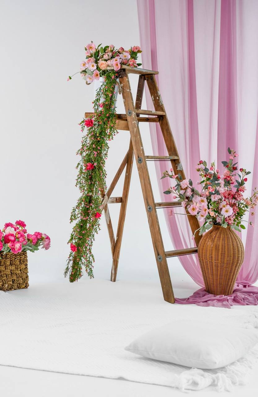 Indoor photo session at Dieppe photography studio