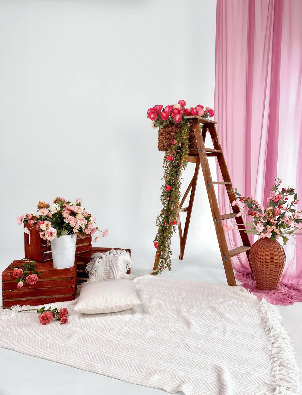 Indoor photo session at Dieppe photography studio