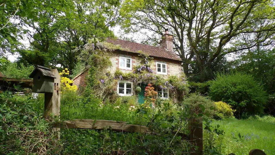 Charming cottage with ivy and flowers, surrounded by lush green trees and garden