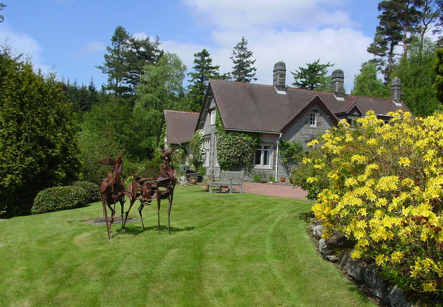 Stone cottage with three chimneys surrounded by lush green lawn, decorative metal deer sculptures, and yellow flowering bushes.