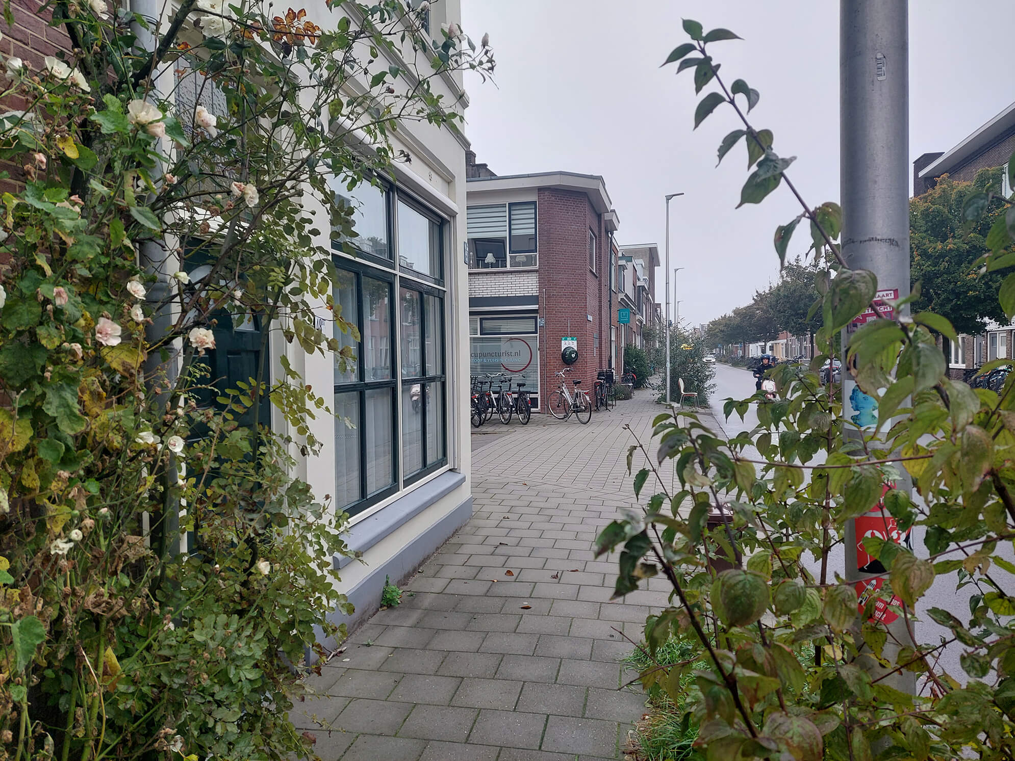 Locatie utrecht echthaptonomie.nl haptotherapie in Utrecht