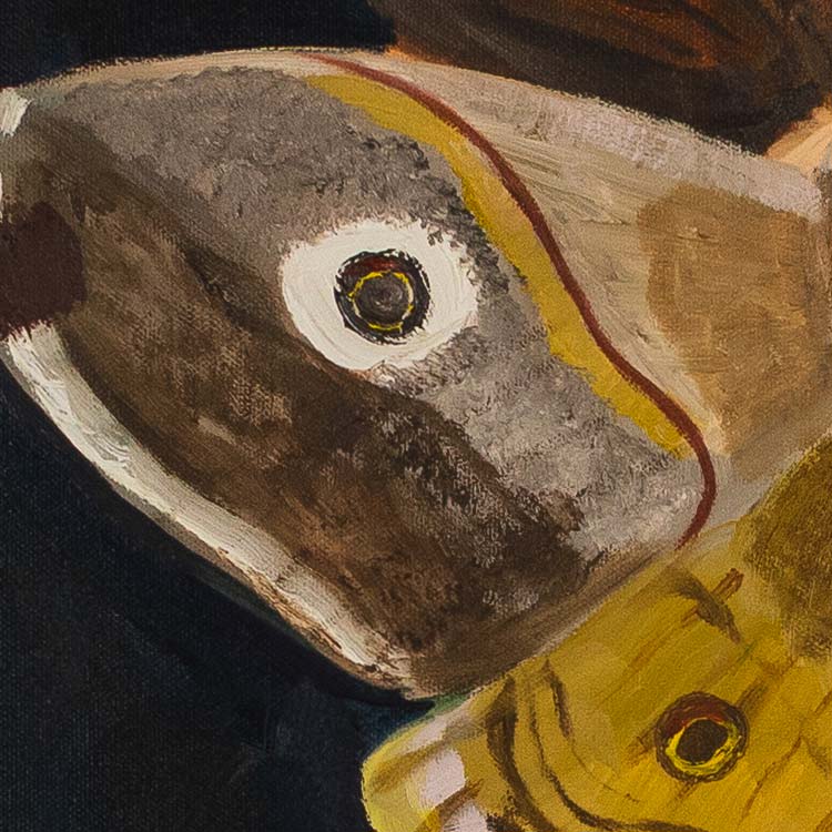 Moth, 2023