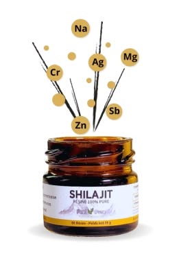 Feel Pure Shilajit résine & gélules – 75 % acide fulvique, tests ISO