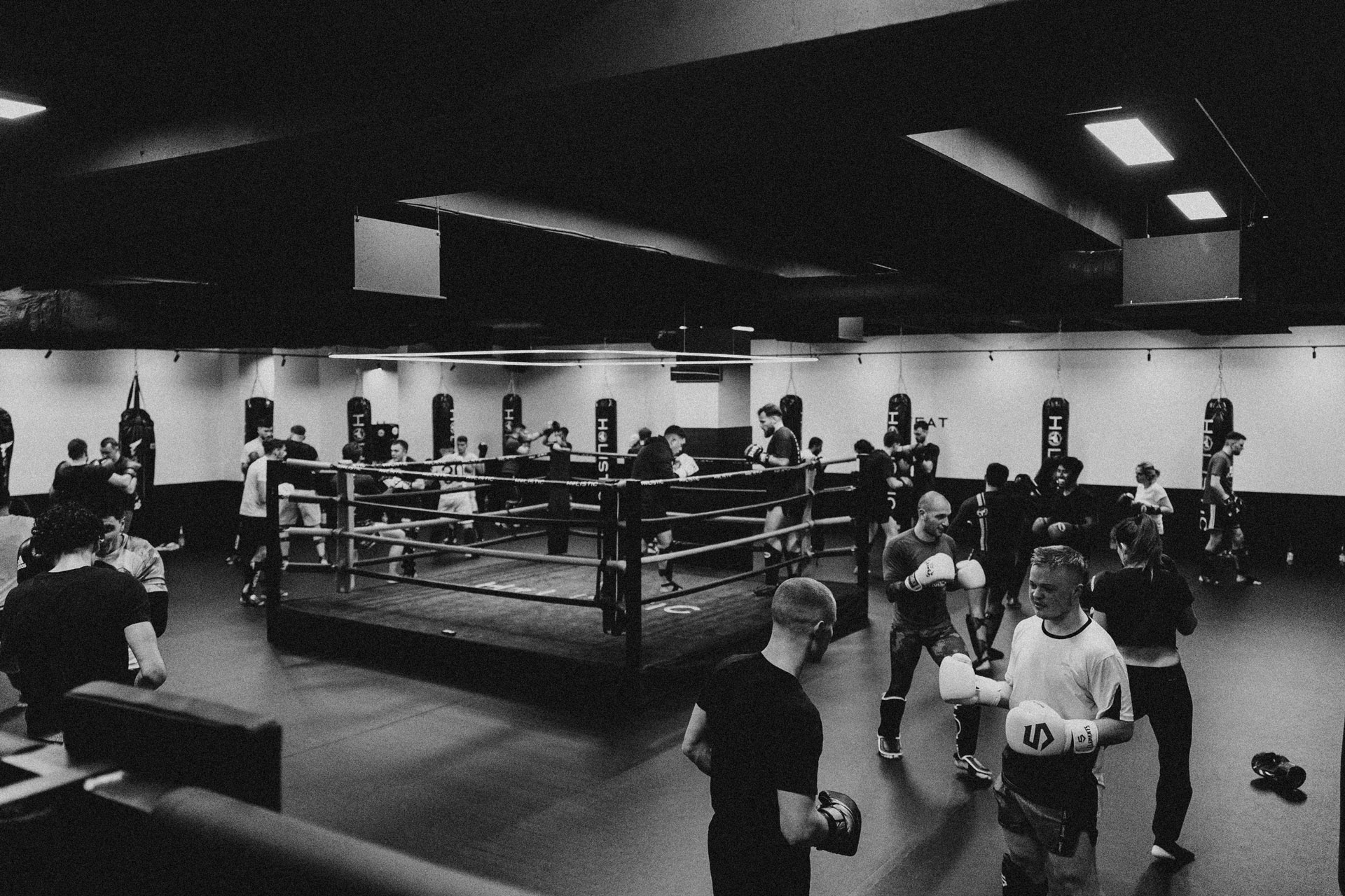 Holistic MMA Frankfurt photo (Gym's own website)