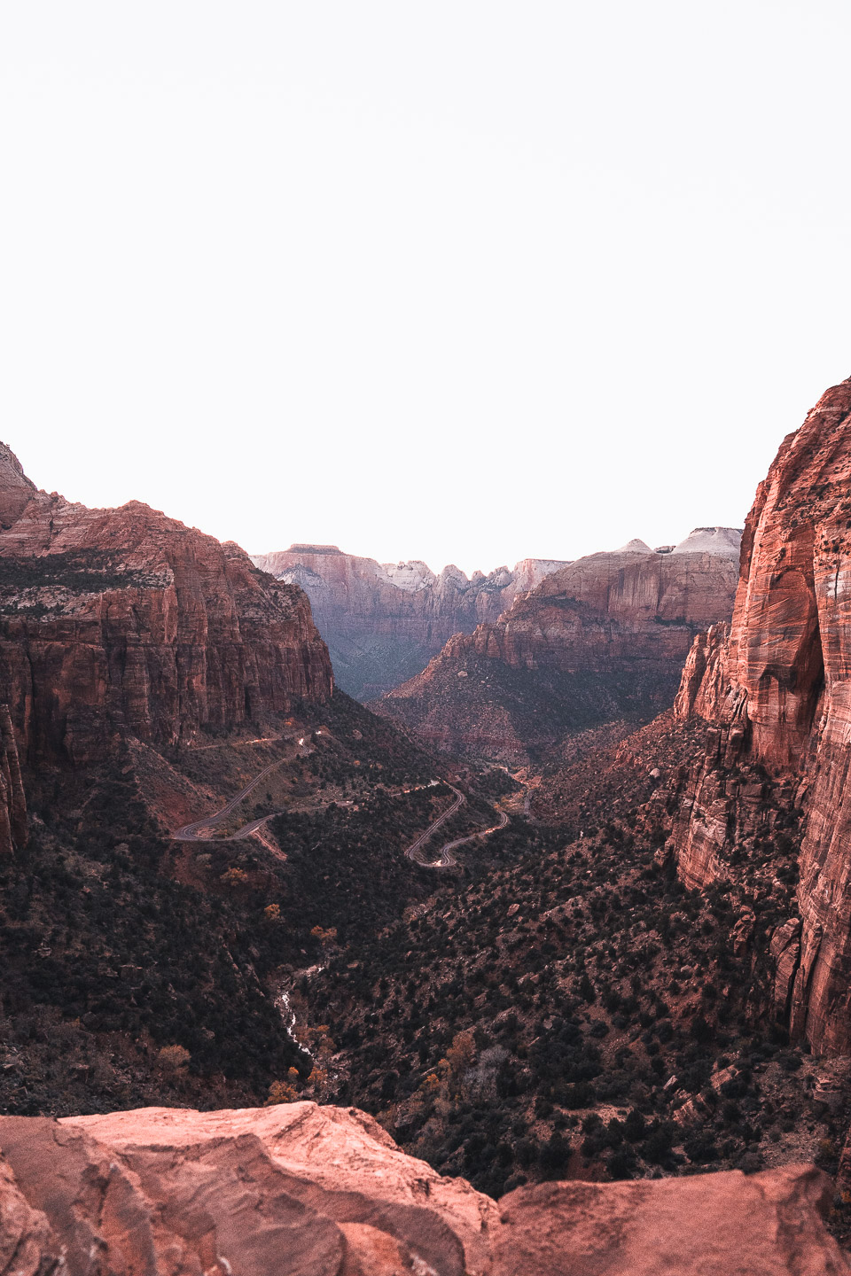Scenic overlook in Zion National Park