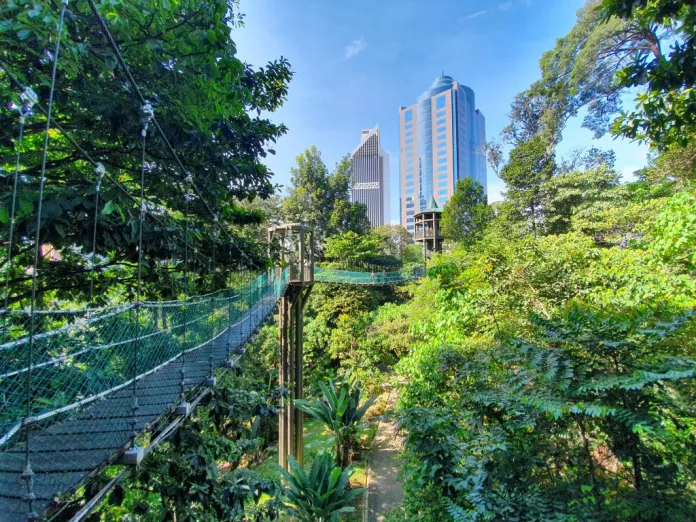 Ultimate KL Forest Eco Park Guide: Plan Your Visit Today