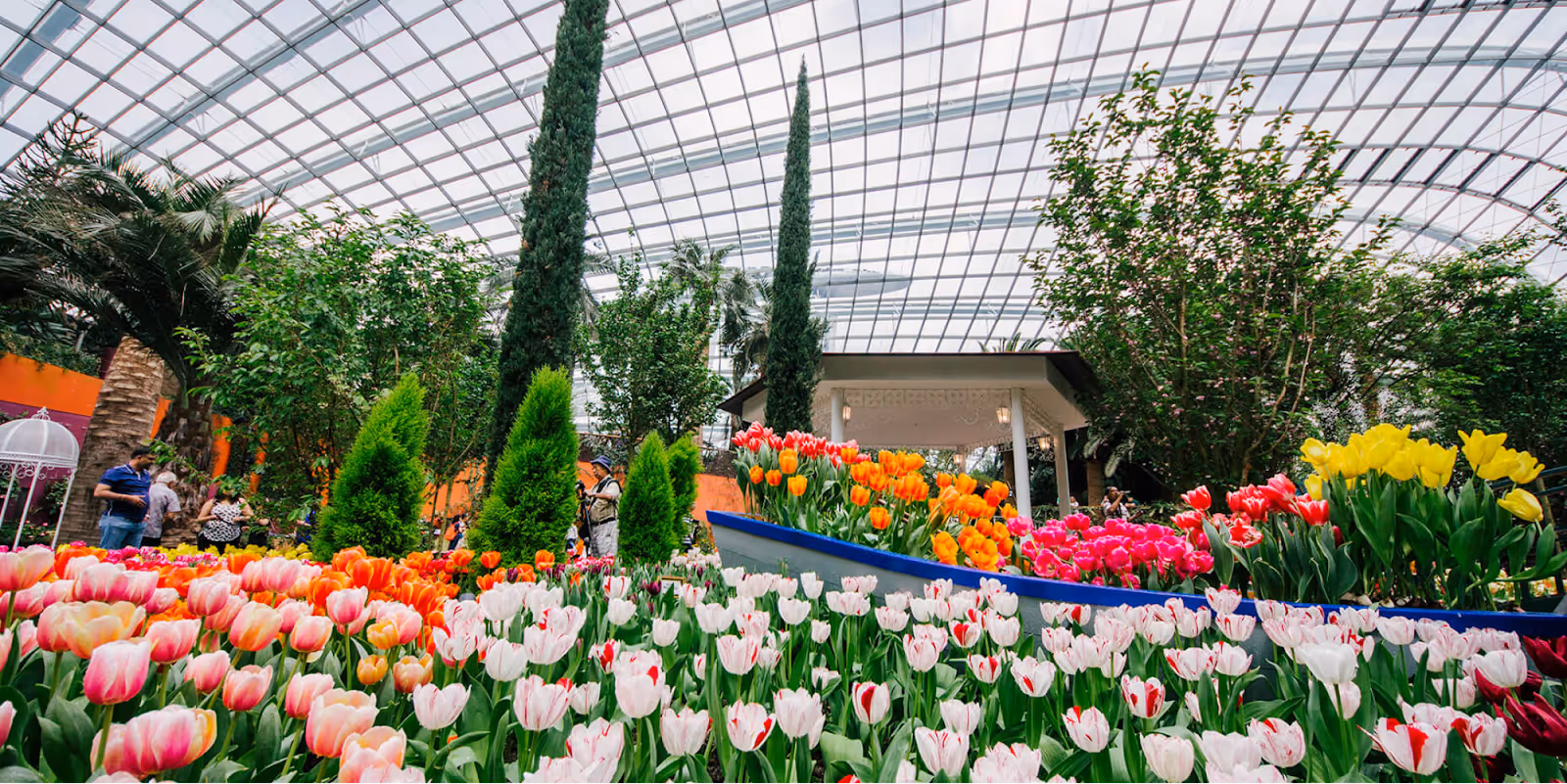 Flower Dome Garden by the Bay