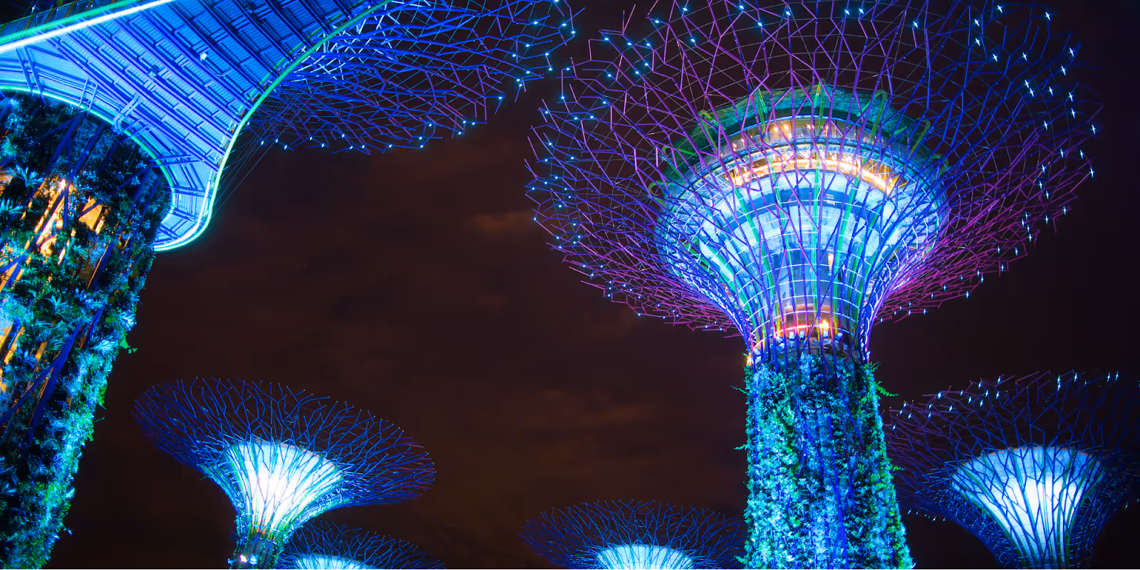 supertree grove garden by the bay