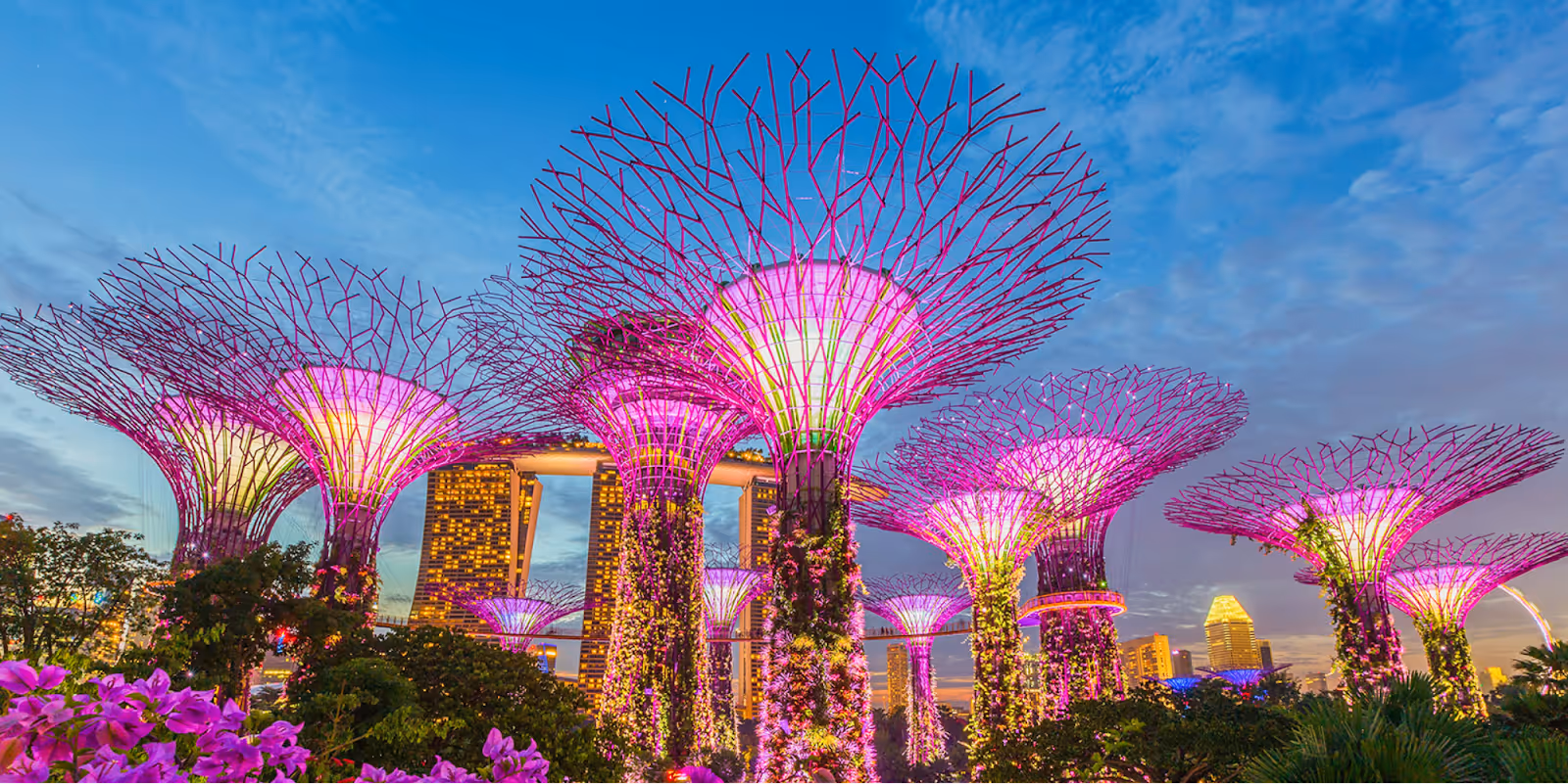 Garden Rhapsody Light Show