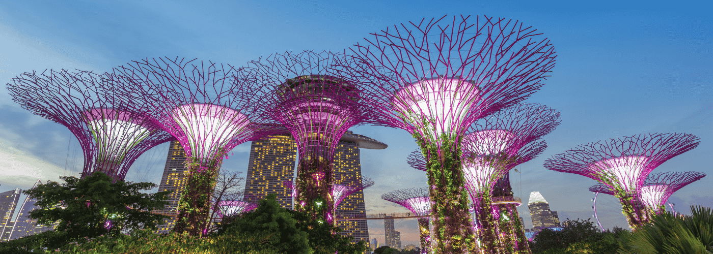 Discover the Wonder of Supertree Grove: Singapore's Must-Visit