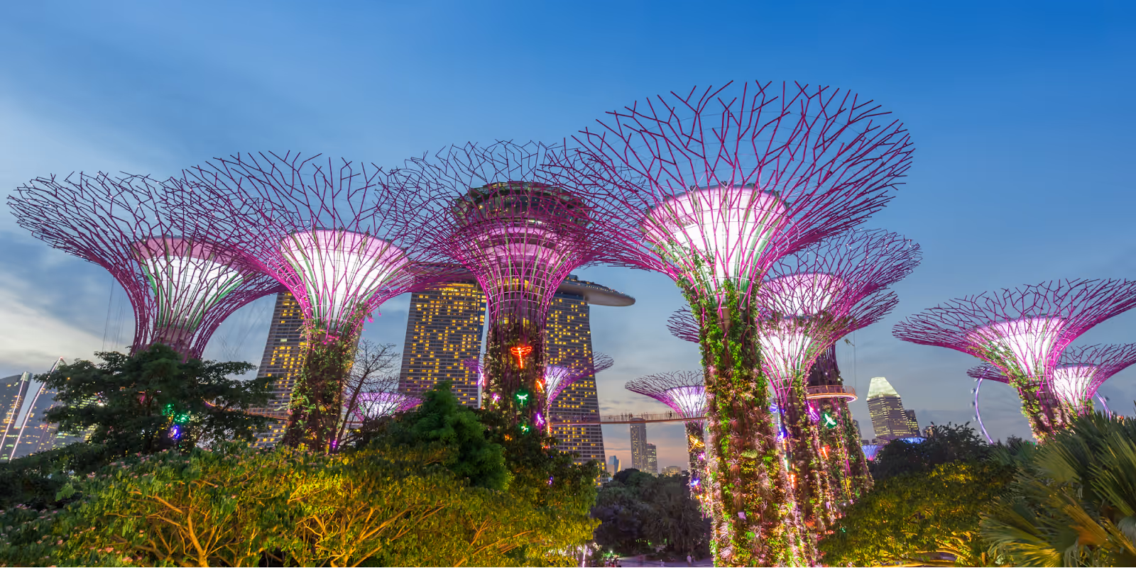 Gardens by the Bay