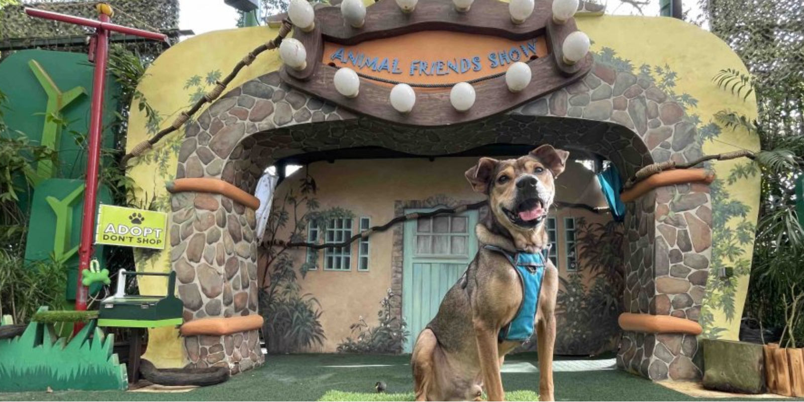 Animal Friends Show
