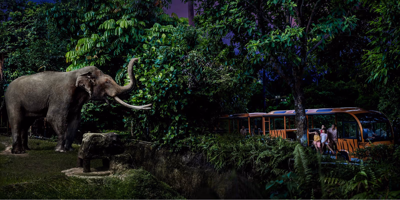 Singapore Night Safari