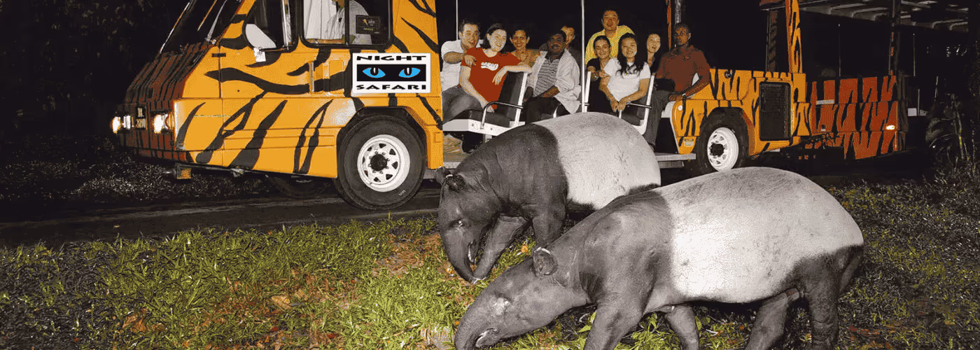 Explore Singapore Night Safari: Essential Guide & Amazing Facts