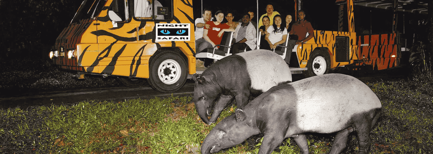 Explore Singapore Night Safari: Essential Guide & Amazing Facts